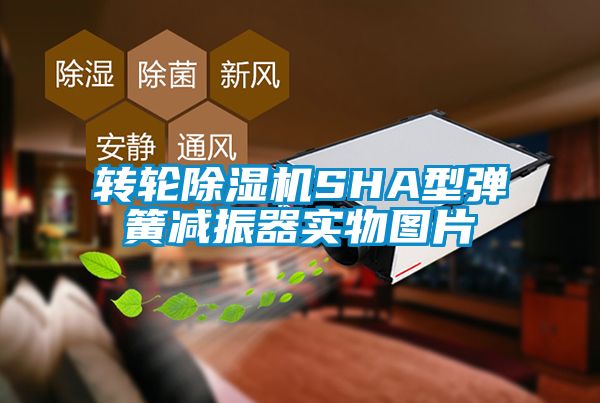 转轮除湿机SHA型弹簧减振器实物图片