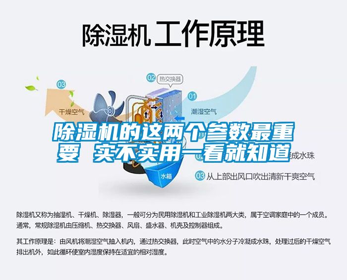 除湿机的这两个参数最重要 实不实用一看就知道