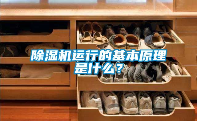 除湿机运行的基本原理是什么？