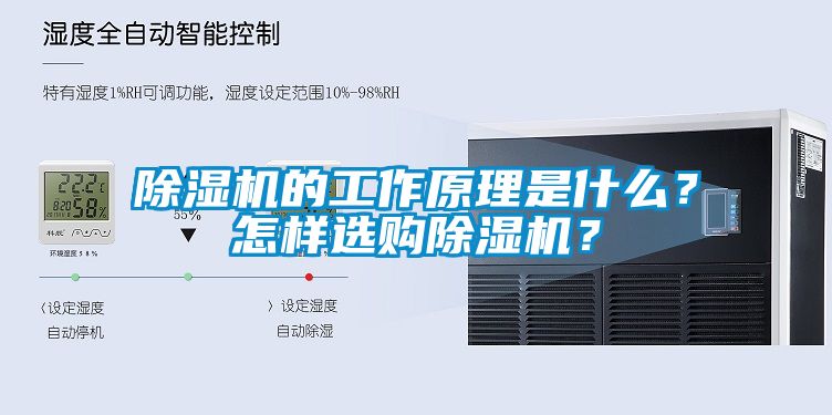 除湿机的工作原理是什么？怎样选购除湿机？